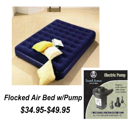 Air Mattress w/Pump