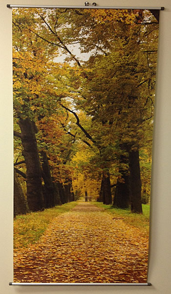 Decorative Murals
